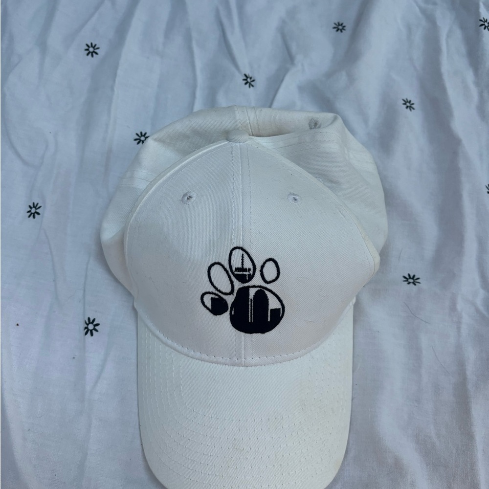 Northeastern University hat